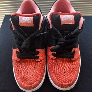 Nike SB Fishladder